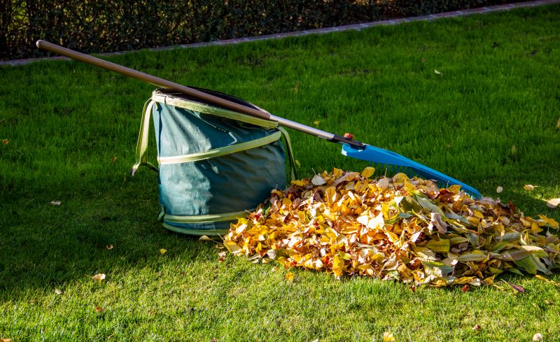 Collected Leaves Ready for Disposal