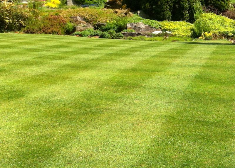 Seasonal Mowing Patterns