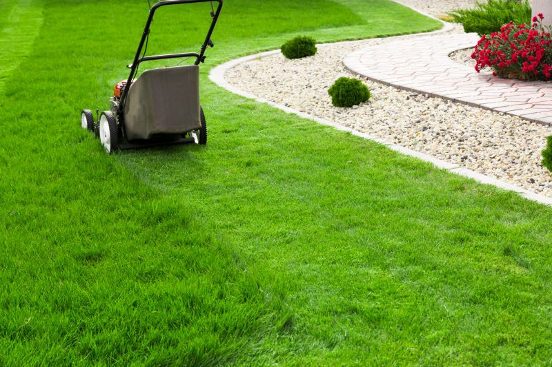 Lawn Care Experts