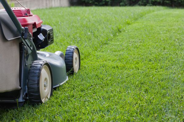 Lawn Care Service in Chapel Hill