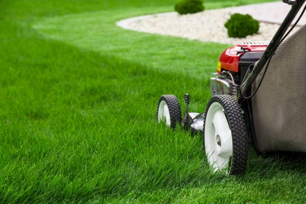Mowing Service in Chapel Hill