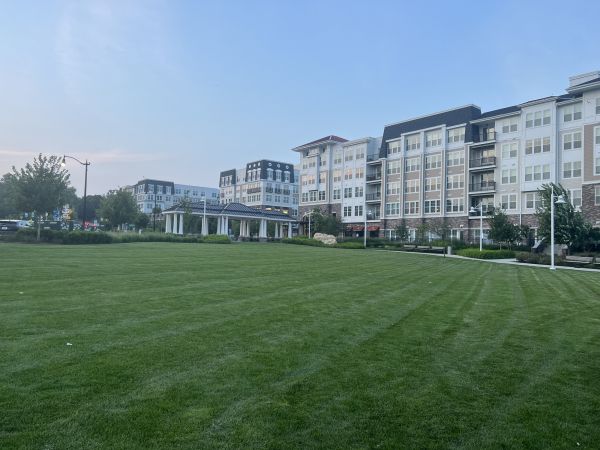 Cost of Urban Lawn Care in Chapel Hill