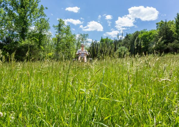 Cost of Long Grass Mowing in Chapel Hill