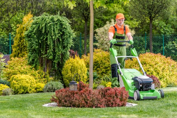 Commercial Yard Maintenance in Chapel Hill