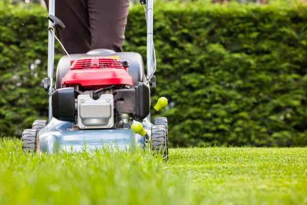 Grass Trimming Service in Chapel Hill