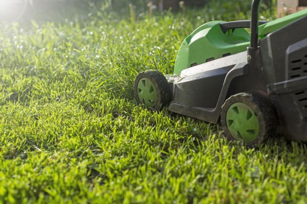Cost of Yard Trimming in Chapel Hill
