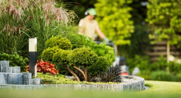 Cost of Residential Yard Maintenance in Chapel Hill