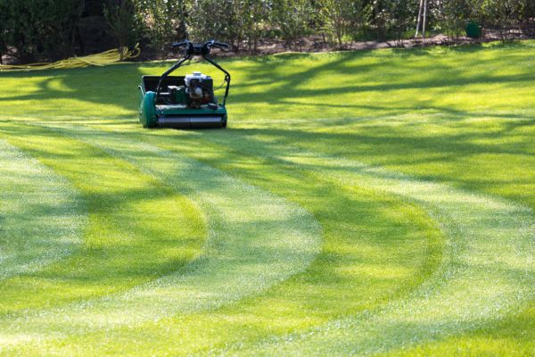 Business Lawn Mowing in Chapel Hill