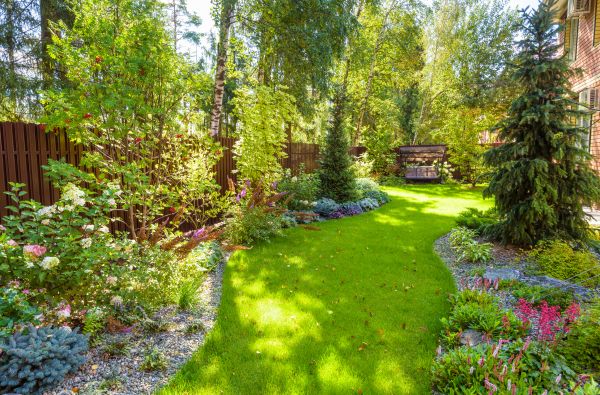 Spring Yard Maintenance in Chapel Hill