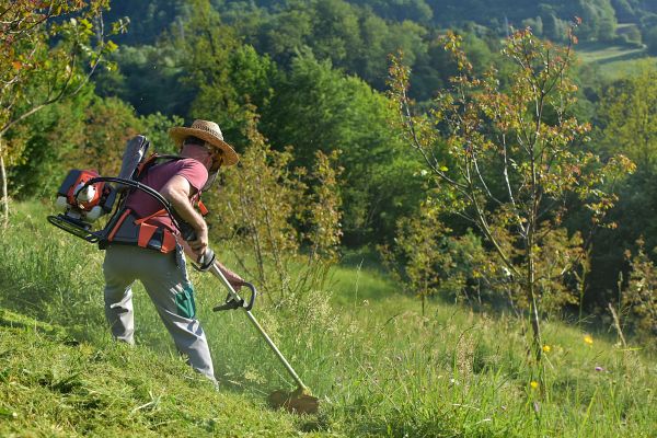 Slope Mowing in Chapel Hill